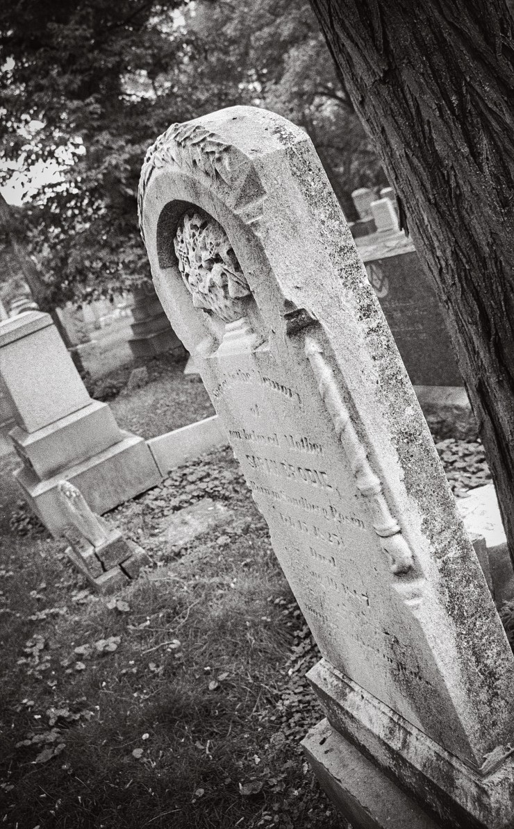 Jewish-Graceland-1-1995