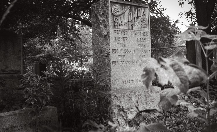 Jewish-Graceland-2-1995