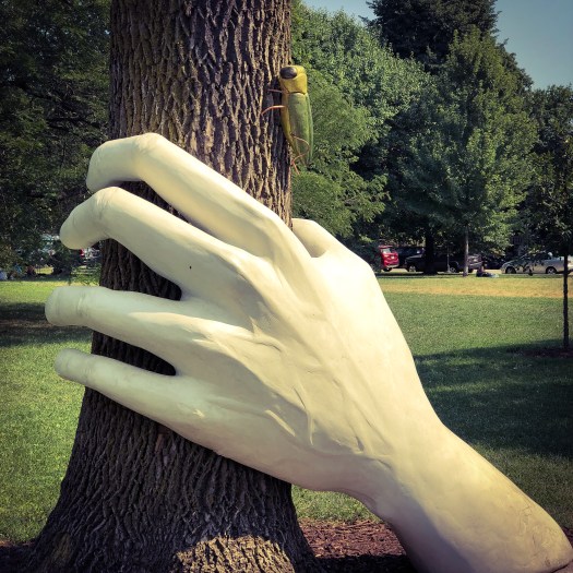 d83c139e-d3bd-4d38-a390-945335e0e405